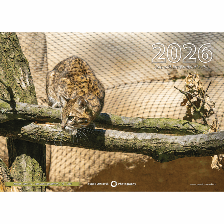 Nástěnný kalendář A3 - na šířku