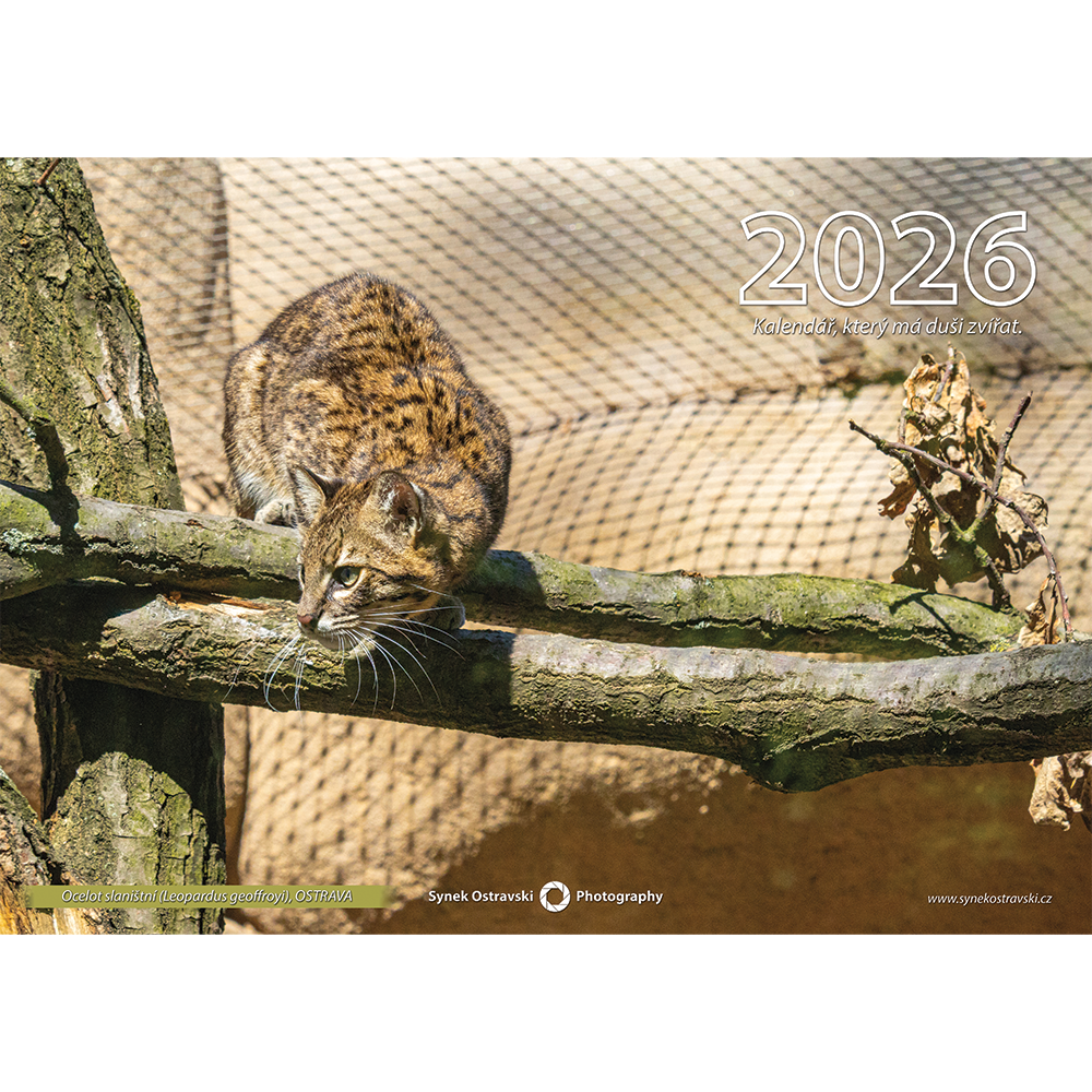 Nástěnný kalendář A3 - na šířku