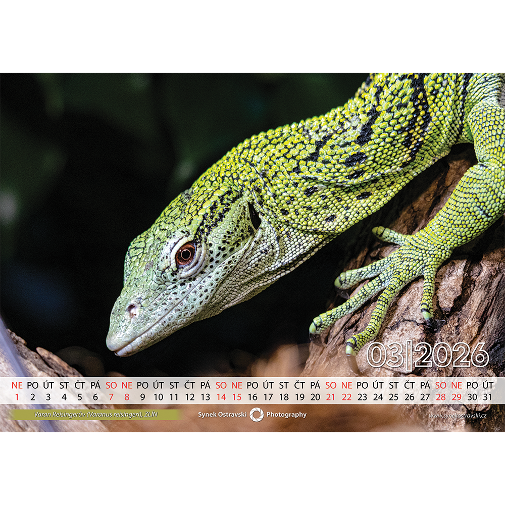 Nástěnný kalendář A3 - na šířku - Obrázek 2