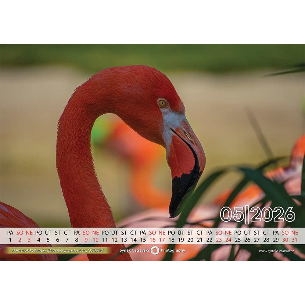 Nástěnný kalendář A3 - na šířku - Obrázek 3