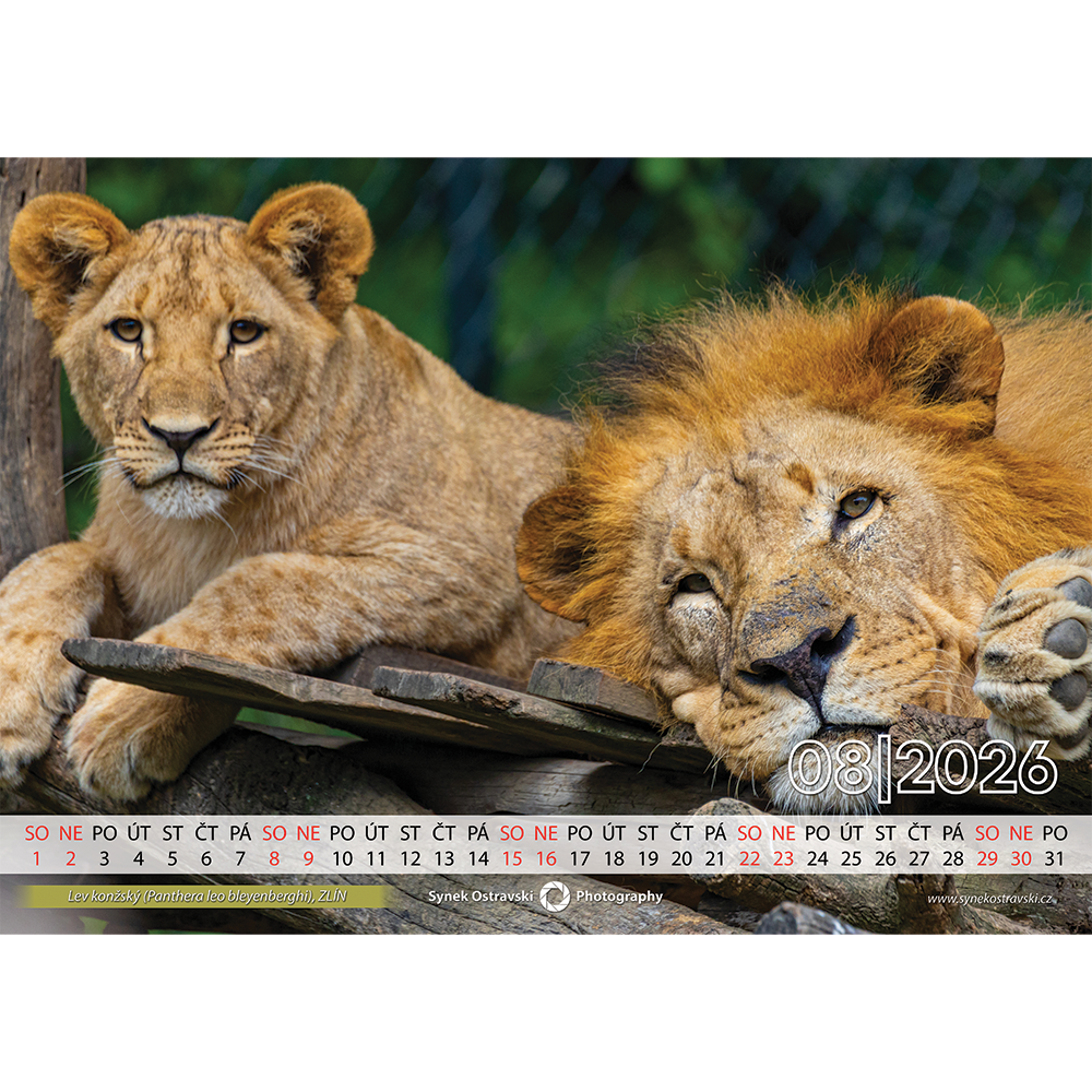Nástěnný kalendář A3 - na šířku - Obrázek 4