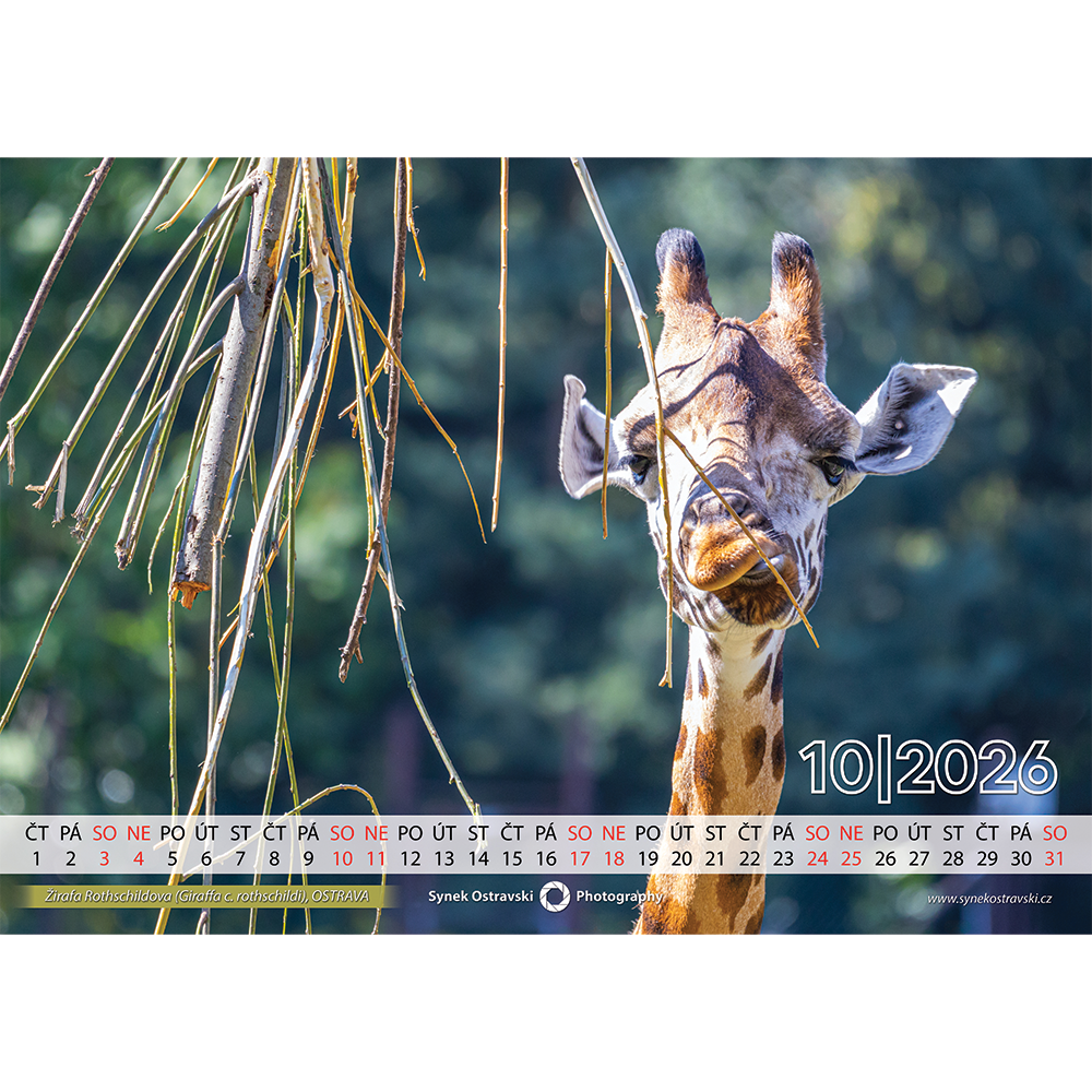 Nástěnný kalendář A3 - na šířku - Obrázek 5