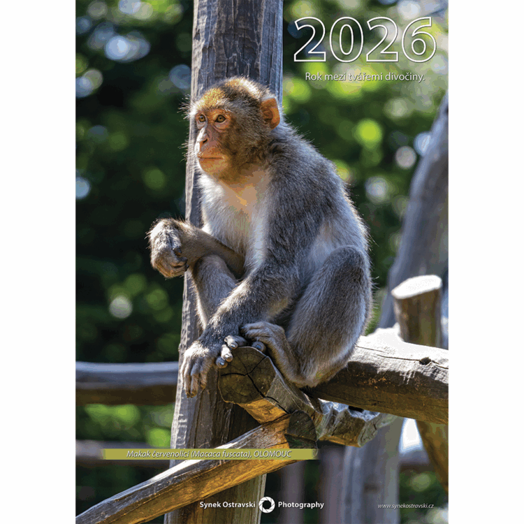 Nástěnný kalendář A3 - na výšku