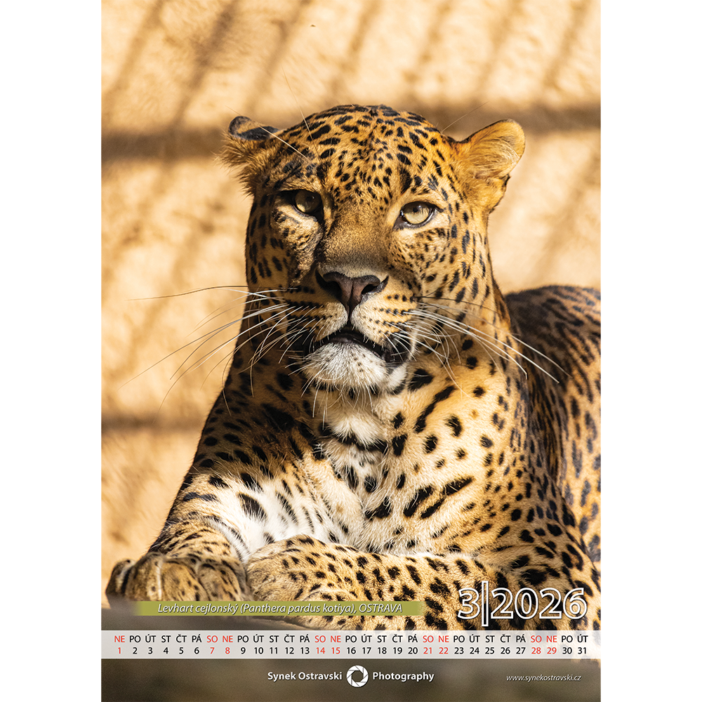 Nástěnný kalendář A3 - na výšku - Obrázek 2