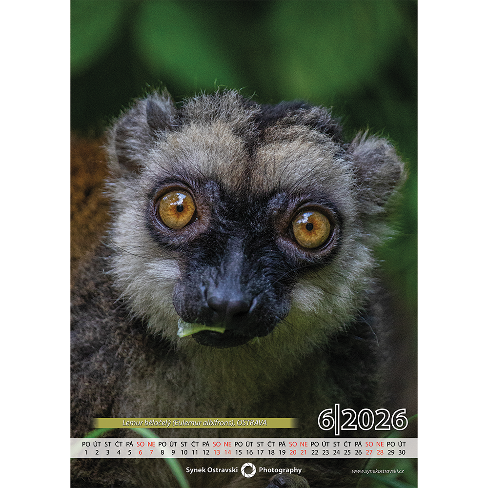 Nástěnný kalendář A3 - na výšku - Obrázek 3