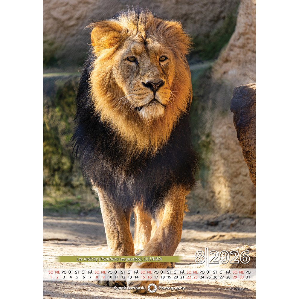 Nástěnný kalendář A3 - na výšku - Obrázek 4