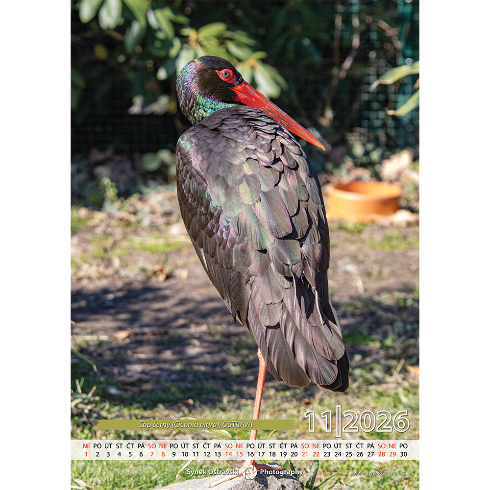 Nástěnný kalendář A3 - na výšku - Obrázek 5